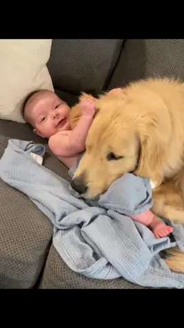 Dogs love to be around kids❤️#fyp #foryou #dog #dogsoftiktok #funnyvideos #relax 