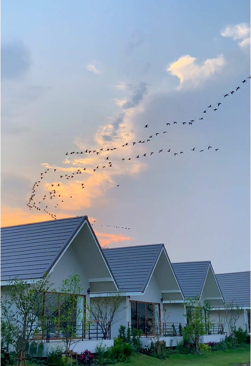 Isaree natural resort เปิดแล้ววันนี้💚 📞 084-3646594 — #isareenaturalresort #ที่พักสุพรรณบุรี #รีสอร์ทสุพรรณบุรี #สุพรรณบุรี #ที่พักสุพรรณ #เที่ยวไทย #tiktoktravel #fyp #ที่พักใกล้กรุงเทพ 