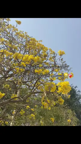 သူငယ်ချင်းမဟုတဲ့ လူကြီး🙁