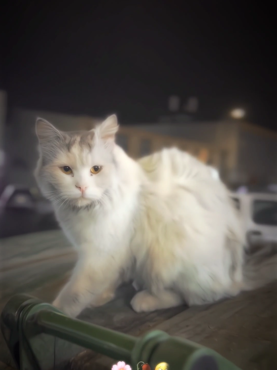 আমি নিজেই ভুল মানুষ আমার মতো মানুষ কারো জীবনেই না থাকুক..!🫠💔🥀#foryou #emoo_chowdhury #_last_line_101 