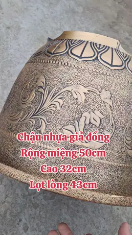 #chaunhua #rau #trongrausach #vattulamvuonbaominh #xuhuongtiktok #trongrautainha #chautrongrau #trongrausanthuong #trending #chautronghoa #ongthepbocnhua #coccambocnhua #chautrongcay 