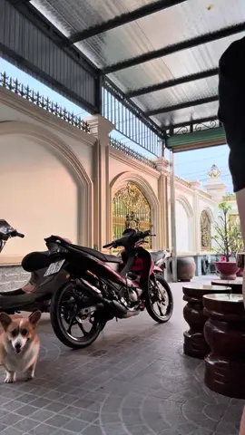 đạp rớt cái quần luôn