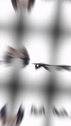 +1 pose với bạn thân trên sân cầu @_nđt #capcut #trendbanthan #caulong #pose 