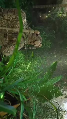 New update #directcontact #tacticalshooter #videogames #gaming #newcalgaming 