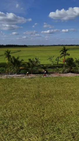 Em tắm trong tủ quần áo mà hỏng ai tin.                                                                   #letuankhang