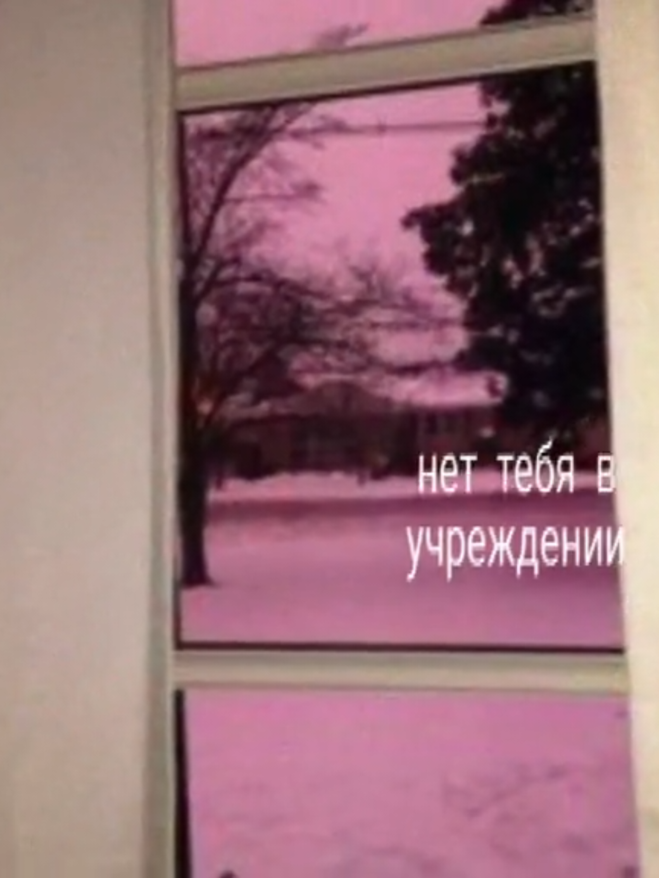 2 версия; тгк: валя ви верра #птицуемъ #lyricsvideos #lyrics_songs #song 