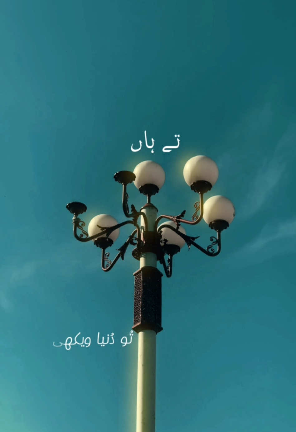 AFSOS🖤 ,  ost (HANIA AMIR) . . . . . #fyp #unfeezmyaccount #foryoupage #urdupoetry #johnelia #urdushayari #fyppppppppppppppppppppppp #fypシ #parveenshakir #cinematography #urduline #cinematic #sabi_captures #CapCut #haniaamir #afsos#anuvjainmusic#nature #viraltiktok #goviraltiktok 