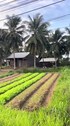 Người quê giữ trọn tình quê!