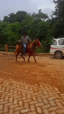 Club de Vaqueros Apolo Bolivia #fiestaapoleña #jocheo_de_toro_🐂 #apolo #tradicion #vaqueros comenta y comparte este video amigos.