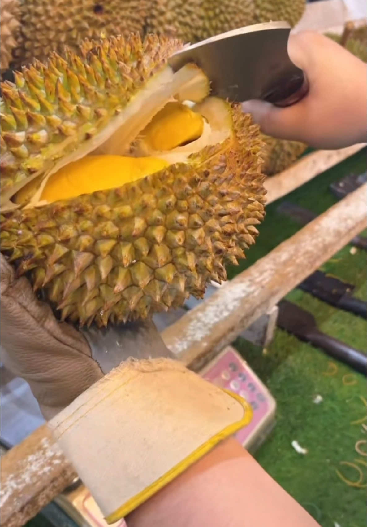 OLD TREE MUSANG KING OLD TREE PAHANG DURIAN. Same day delivery 🚚. #createtowin #tiktokshopsingapore #sgbrandweek #weeklywedrush #tiktokshopsg #durian #durianlover 
