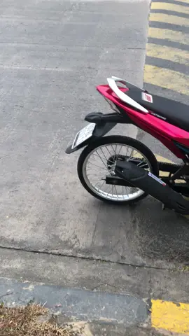 Rồng mắc cạn 👹