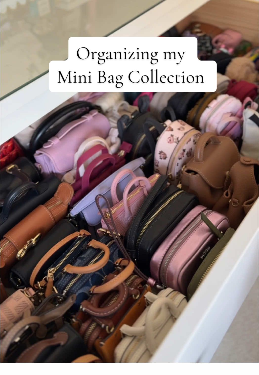 This isn’t even all of them 🫣😭 I get it—these tiny mini bags are useless, but their cuteness brings me joy☺️! Organizing them was the cherry on top💗 Do you have any collections you love? Share in the comments below! Bag collection, organize with me, mini bags, asmr, bag charms, cute bags, organization  #bagcollection #organizewithme #minibags #asmrrelaxation #bagcharms #cutebag #microbags #organizingtips  @Coach @portlandleather | TOTE BAGS @MAISON de SABRÉ @polene_paris @lululemon @Dagne Dover @marcjacobs 