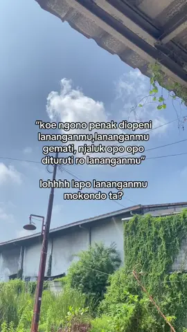 mokondo ta?🫢#trending #4u #bismillahfyp #jowopride #jowostory #fypage #viraltiktok #xyzbca #fypviralシ #foryoupage #masukberandafyp 