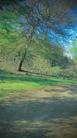 #mong akhpal haq akhlo pa khair hal bandi#🥷🏻👑👑✌️✌️🎶❤️👈