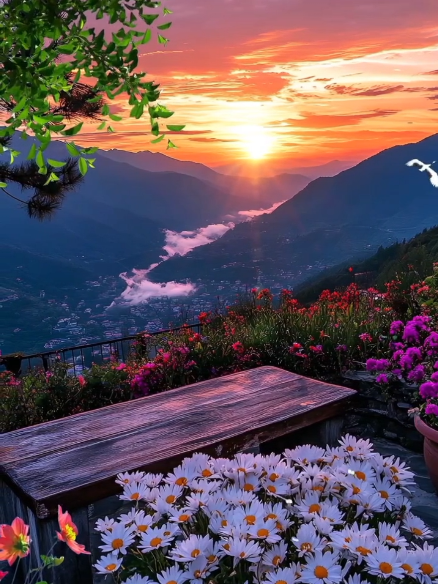 #naturebeauty #naturescenery #naturelover #amazing #relaxing #niceview #videobackground #livewallpaper #longervideos #freetouse #usenow #trending #viral #foryoupage #foryou 