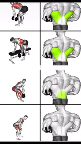 💪 #gym #GymLife #workout #gymfreak #toptags #gymtime #gymrat #bodybuilding #gymmotivation #train #fitfam #progress #muscle #training #befit #health #gymaddict #instahealth #hulk #body #fit #strong #motivation #determinant #determination #instadaily #musclegain #cleaneating #exercise #fyp #رياضة #كمال_الاجسام 