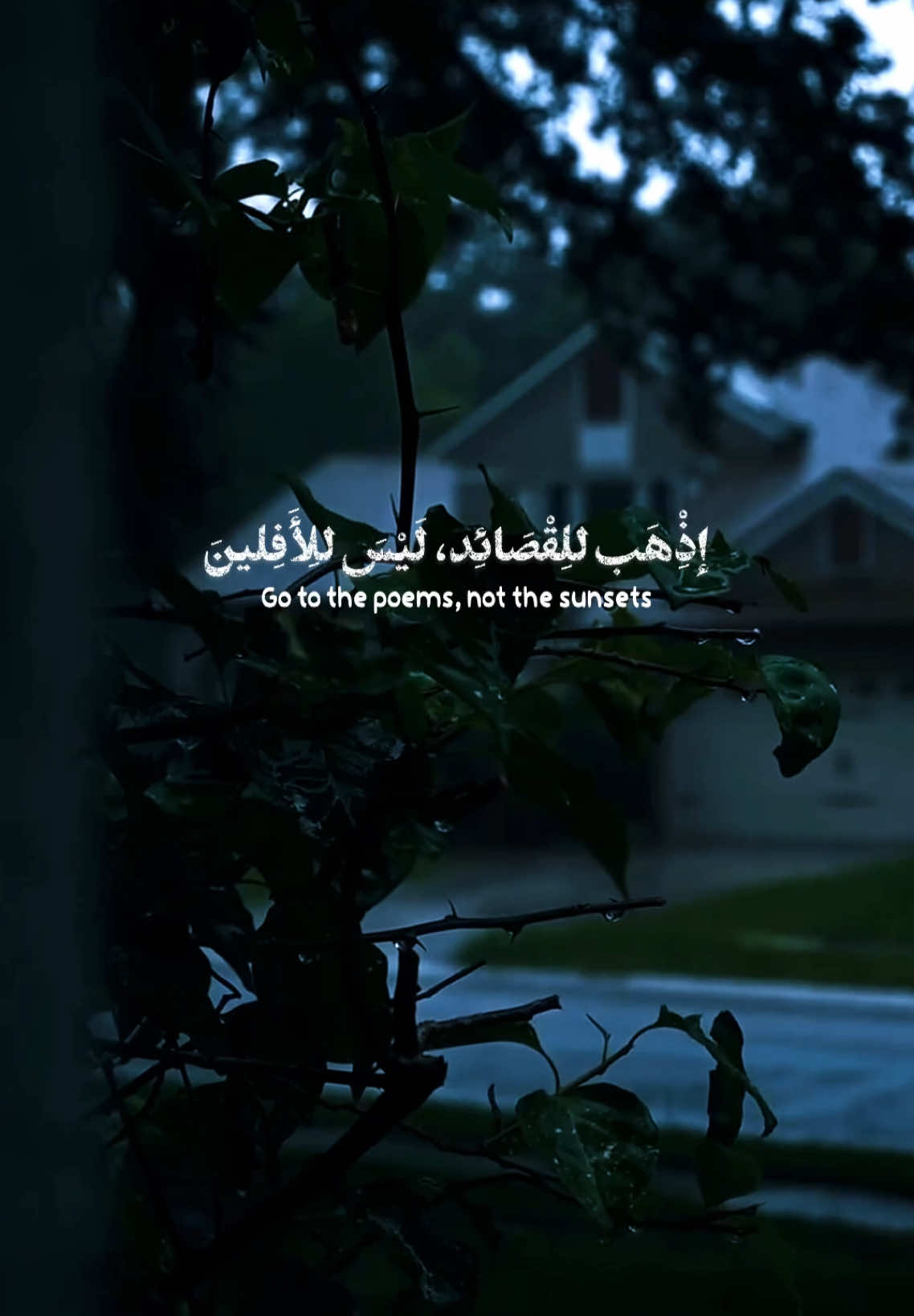 يَهجرُنِي الجَمِيعِ وِتَقُبلنِيَّ.. قصَائِد مُحَمد باقِر الخاقاني🎧🤎 #قصائد #قصائد_حسينيه  #قصائد_حسينية  #لطميات #الخاقاني  #خاقاني #خاقان_فاطمة  #خاقاني_فاطم  #محمد_باقر_الخاقاني  #محمد_باقر_ألخاقاني #ملا_محمد_باقر_الخاقاني #مطر #كربلاء 