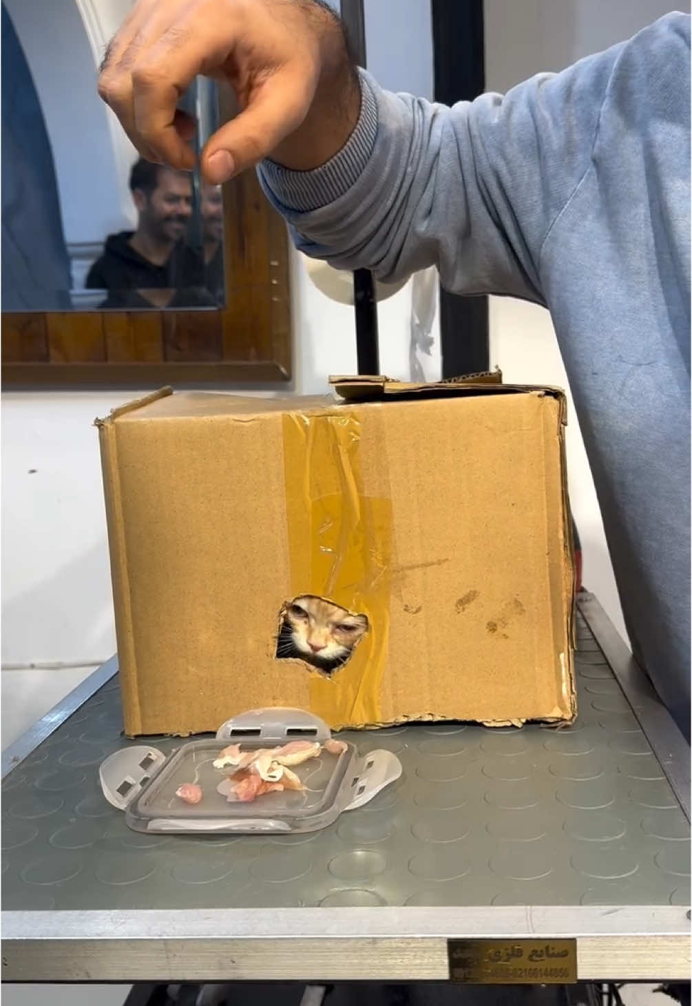 what is this called? #cat #trendy #fyp #catspa #catsoftiktok 