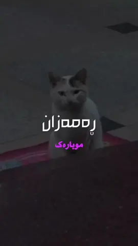 #explore #fyp #kurdish  #fun #foryou #viral #foryoupage #kurdisharmy #اكسبلور #اکسبلورررررررررررررررررررر❤🧸