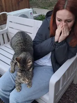 yaşamayan yoktur #cats #fyp #breeding edit: üf illa acıklatcaksınız, alttaki kedi acı fln cekmiyor, surekli erkek kediyi dovup kacabiliyodu, normalde de olay yerde yasanıyodu, sonrasında ben disiyi severken diğeri de birden atladı ve bu goruntu cıktı, ben de bir sorun yasanmadıgı icin bekleyip komik oldugundan video cekip şsfkşsld sonrasında ustumden attım. 30snlik bi olay bile degl abartmayın. tepkim de evet sahte cunku icerik cekiyorum iyi misnz. neyse hadi by