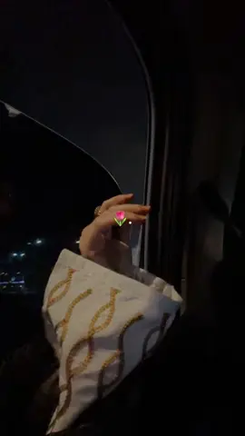 متفقين كلنا انها اجمل شيله 💅🏻🌷#مافيني_حيل_احط_هاشتاقات 