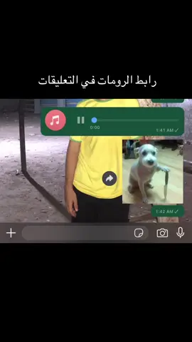 #ريكوردات #ترند #عم_احمد_نور_الدين #واتساب #foryoupage #fyp #viral 