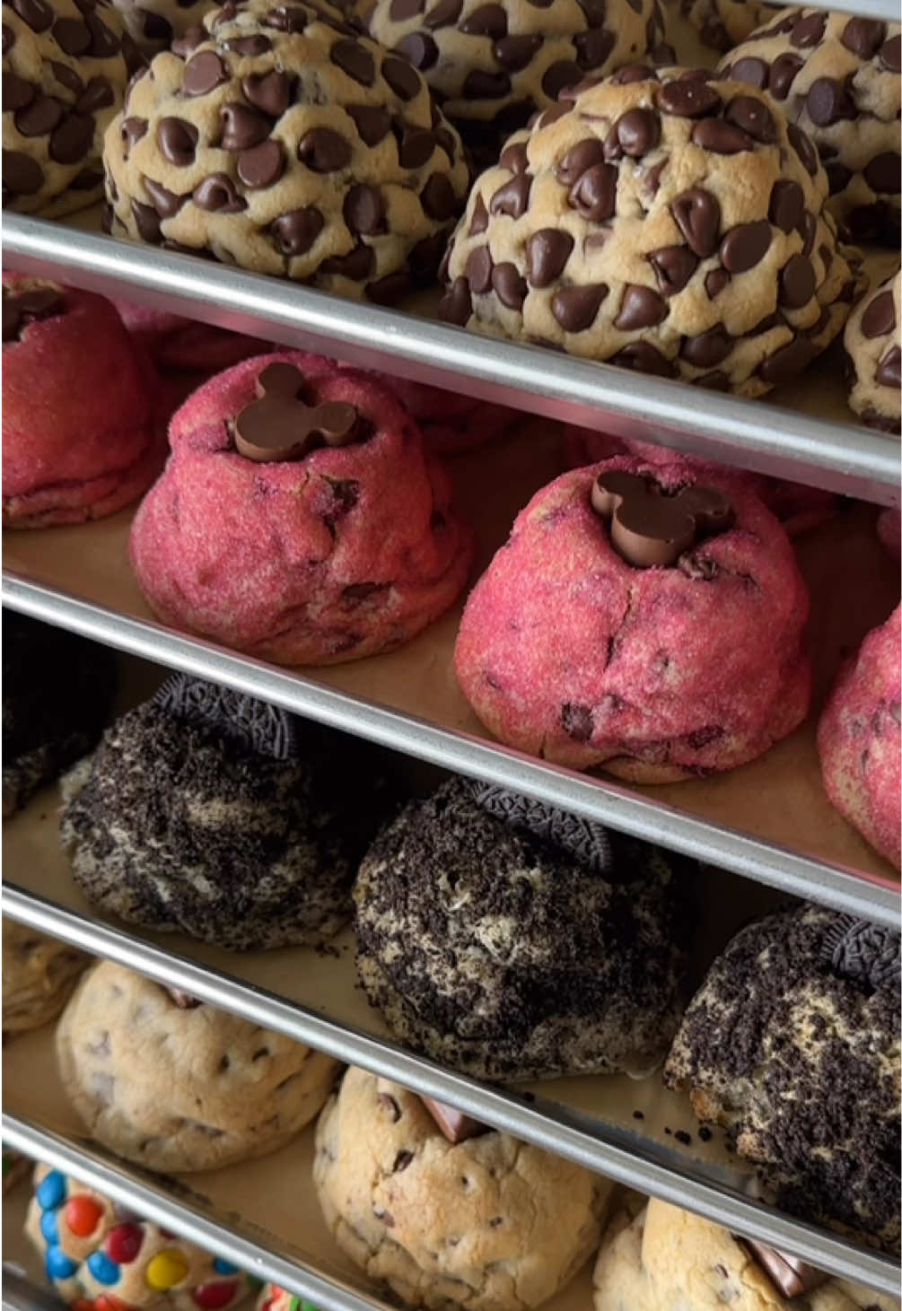 Which cookie tray are you picking??🍪 #jumbocookies #ashsbakeshop #orlandocookies #disneyfood #sweets #bestcookies #chocolatechipcookies #sweettooth 