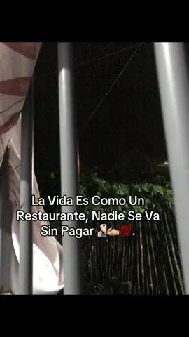 Normal 🤷🏻‍♂️✅#viralvideos #todoelmundo #paratiiiiiiiiiiiiiiiiiiiiiiiiiiiiiii #foryoupageofficial #tiktokindi #fyp 