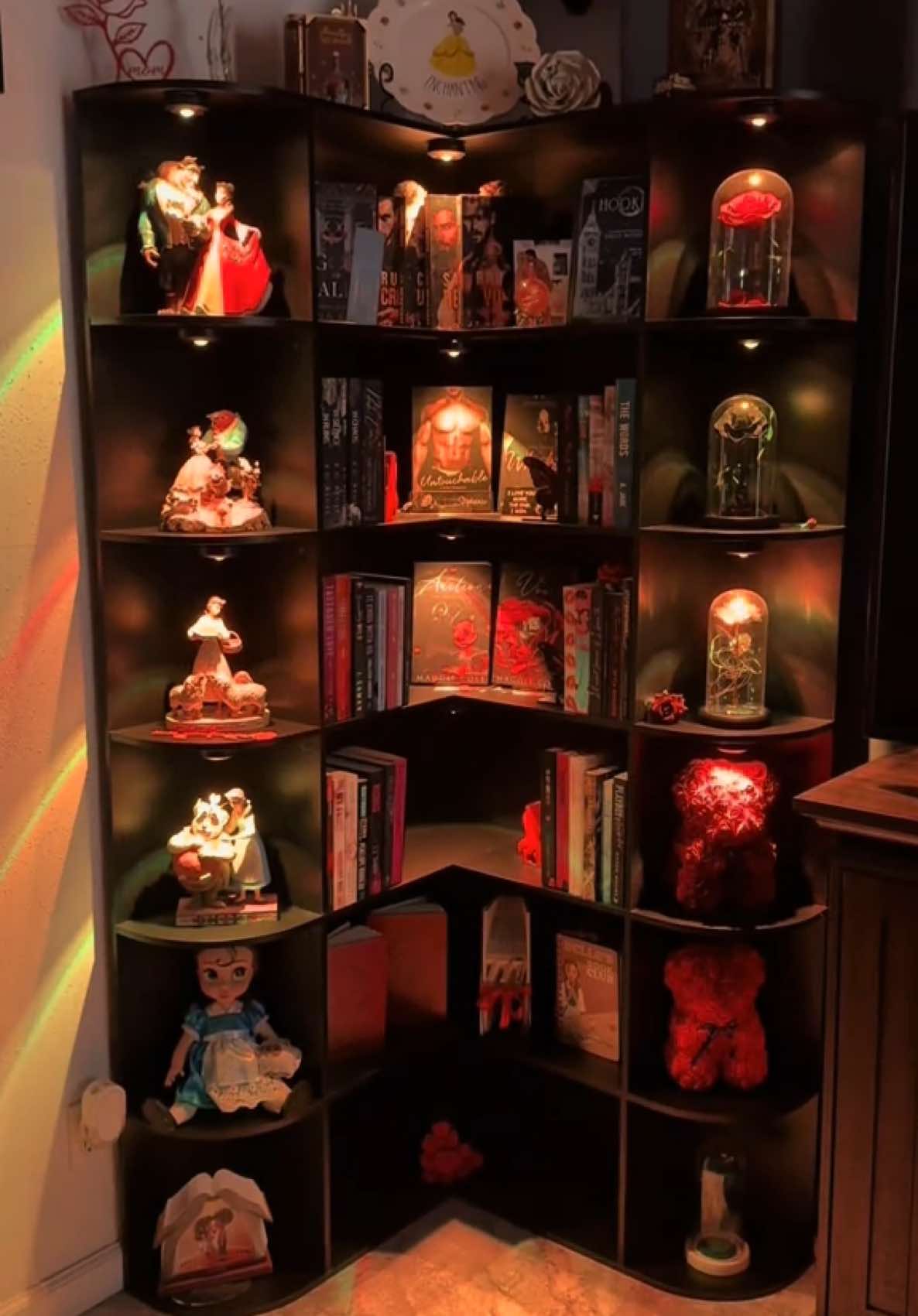I love my book shelf along with all my beauty and the beast just waiting on one more set of lights to come! #CapCut #foryoupage #fyp #viral #bookclub #bookclubtiktok #BookTok #goodreads #romancebooks #beautyandthebeast #disney #bell #darkromance #Love #disneyland #disneyworld #disneylife #princess #princessbelle #beauty #dinseyfan #rose 