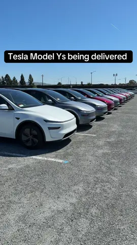 New Tesla Model Ys #fyp #tesla #elonmusk #viral #tsla #modely 