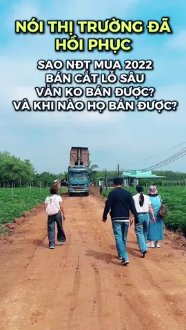 #kinhnghiemdautu #chudautubdstayninh #bdsNuiBaTayNinh 