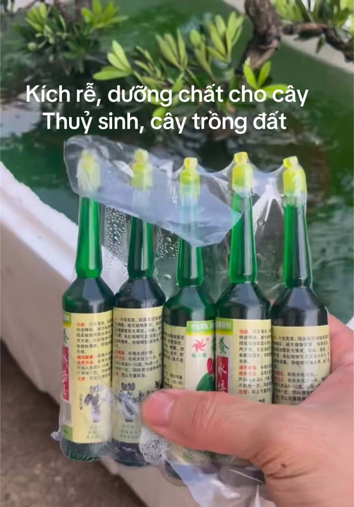Dung dịch thuỷ canh, dưỡng chất cho cây trồng nước, cây trồng cạn, hàng chính hãng#kichre#thuysinh#xuhuong 