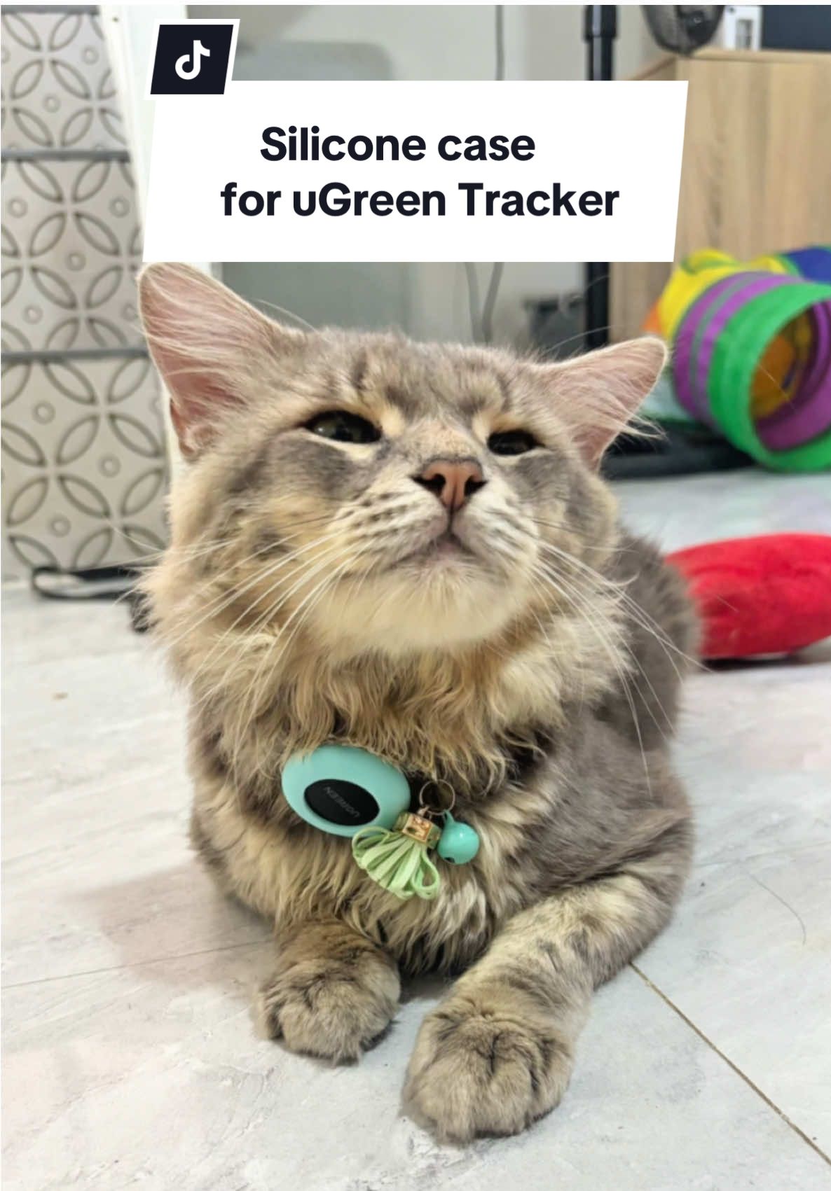 Ang ganda ng material ng gps case ni grey kasi silicone na with collar pa! #siliconecase #airtagcase #collarwithairtagholder #airtagcollar #airtagcollarfordogs #airtagpets #airtag #ugreen #ugreengpstracker #dogtrackercollargpsdog #catcollar #dogtracker #airtagdogcollar 