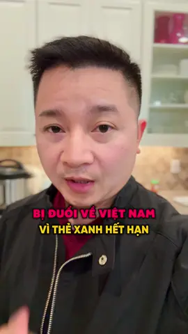 Về Việt Nam bằng thể xanh, qua Mỹ bị đuổi về lại 🤯 #giadinh #nguoivietomy #danle #florida #danleus #