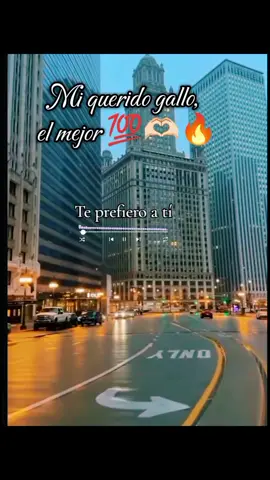 Tito Rojas, te prefiero a ti #salsabuena😎 #salsaparadedicar🥰 #salsatemazo🍻💯🔥 #salsaromantica #salsaparaestados #titorojassalsabrava #elgallodelasalsa🐓🎤🎶 #salsa #salsaerotica #salsabaul #salsaviejita #salsaparadedicar #titorojasteprefieroati 