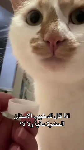 #أسنان 