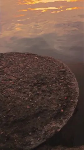 #fyp #sansetvibes  #bismillahrame 