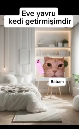 Benden daha çok seviyor 🥲😭#fyp #foryoupage #kedi #fypシ゚ #öneçıkar #öneçıkart #komedi #humor 