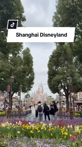 Shanghai Disneyland 🏰 #disney #disneyland #shanghaidisneyland #shanghai #travel #traveltok #fyp 