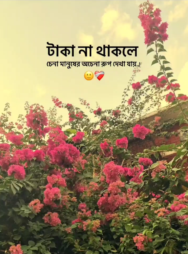 -Taka na thakle china manush er Ochina rup dekha jai...🙂 #frypgシ #sadstory #Tk #manus #wedding #quotes #newtrend #1millionaudition #bangladesh🇧🇩 #bdtiktokofficial #bdtiktokofficial🇧🇩 