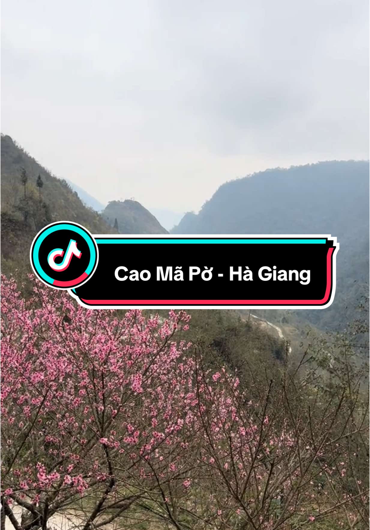 Cao Mã Pờ đẹp suốt 4 mùa. Nếu đến đây vào mùa xuân, bạn sẽ được lạc vào những bản làng tràn ngập sắc hồng của hoa đào. Cuối xuân còn có hoa mận, hoa trà,… khoe sắc rực rỡ.#muaxuanhagiang #hagiang #caomapoquanbahagiang #xuhuong 