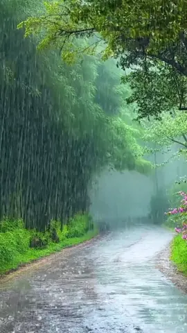 jam berapa kalian lihat video ini? . . . . #liriklagu #bawalahcintamu #sadvibes #🥀💔 #storywa #wira_wiriii #kasihsayangallah #quotestory #fypシ゚ #lewatberanda #foeyoupage #vypシ #pengikut #sororan #galaustory #galaubrutal🥀 #brutal 