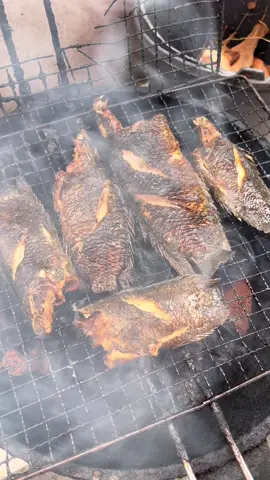 sanggup kah buhan pian menolak makanan kaya ini..iwak papuyu baubar nya ganal pada piring..uma hehh kacar banar mutee handak lagi..🤤🤤 #fyp #fyppppppppppppppppppppppp #palangkarayakotacantik #kulinerbanjarmasin #banjarmasin #iwakpapuyu #ikanbakar 