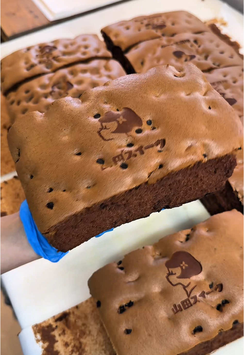 ふわふわの濃厚チョコ台湾カステラ！ 濃厚チョコ台湾カステラ 1200円 焼印が可愛らしくスフレケーキのような食感で食べ始めたら手が止まらなくなる美味しさ😋 🍚店名: 台湾カステラ 山田スイーツ 住所: 福岡県久留米市東町361-24 最寄駅: 西鉄久留米駅から徒歩3分 営業時間: 11:00〜18:30(日曜のみ18:00まで) 定休日：火曜日、水曜日 #福岡グルメ#Japanesefood#tiktokfood