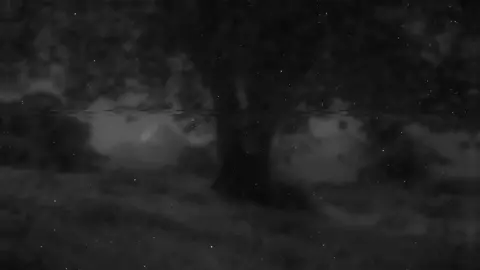 اترك أثر تؤجر عليه 🤍  -  -  القارئ | يوسف الصقير   سورة | الأحزاب ـــــــــــــــــــــــــــــــــــــــــــــــــــــــــــــــــــــــــــــــــــــــ  #قران #explore #قران_كريم #quran #يوسف_الصقير   #سورة_الأحزاب  #سبحان_الله #oops_alhamdulelah #اجر_لي_ولكم #استغفرالله #لا_اله_الا_الله #تلاوة_تريح_قلبك #ارح_سمعك_بالقران #اكتب_شي_توجر_عليه #اللهم_صل_على_نبينا_محمد 