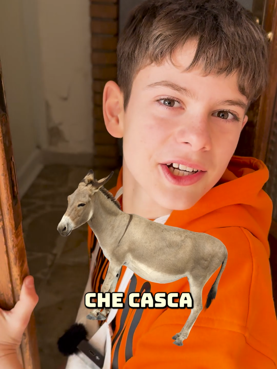 Filippo e Camilla assaggiano la salsiccia di Carne Genuina e la confrontano con quella del supermercato, anche a livello di prezzo. Chi vincerà? #carnedimaiale #salsiccia #carnegenuina #carnegenuinasuper 