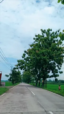 indahnya pemandangan disepanjang jalan di desa tidu bokateja Purbalingga #indahnya#pengikut #jangkauanluas #sorotantiktok #publik #trending #viral #fyp 
