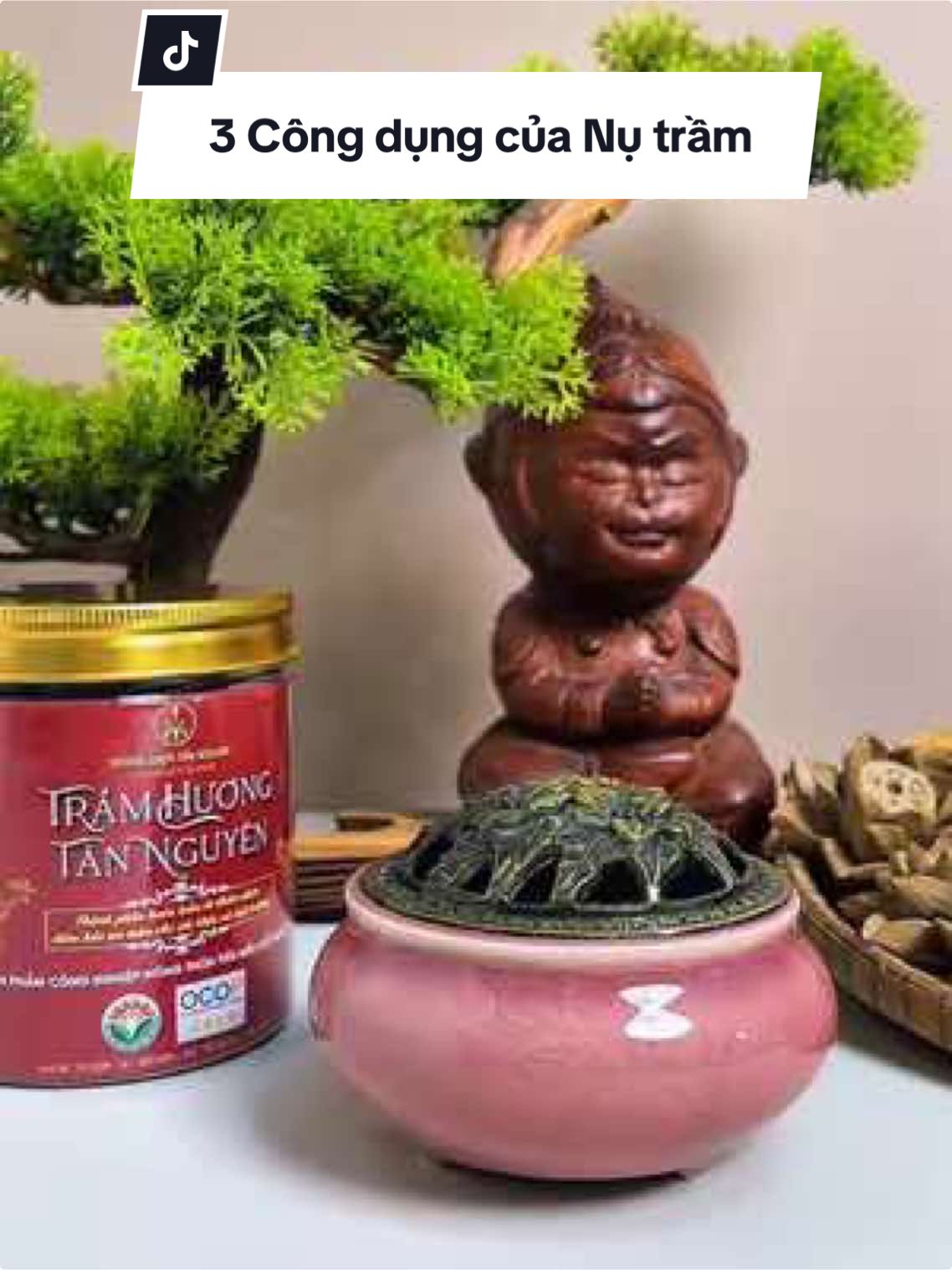3 Tác dụng của Nụ Trầm Hương 🍃🍃 #nutramhuong #nutram #nutramtannguyen #tramhuongtannguyen #xongnha #huongsachtannguyen 