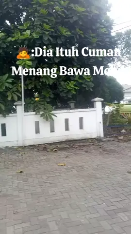 Sinih Mbk Sama Gwh Ajah Nanti Kita Pake Fortuner Vrz Spek 1Gd☝️😝☝️🚗🤑😎#fypシ゚viralシ 