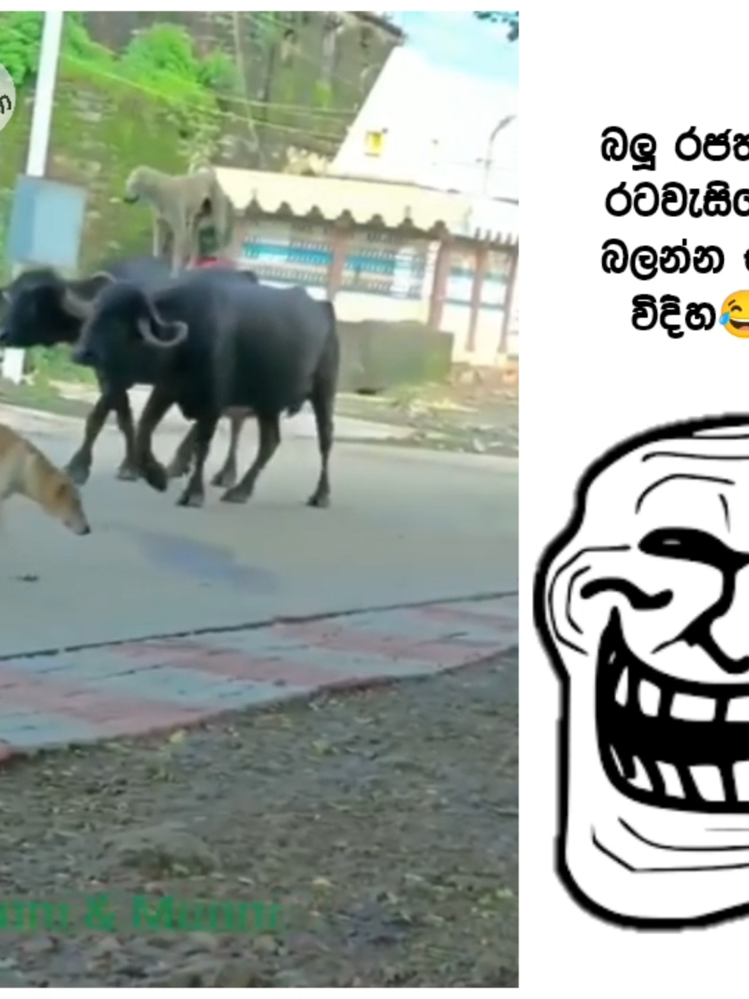 #saarithaa  #funny  #comedyy  #sinhalafunny  #sinhalacomedy 